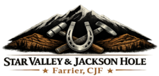 star valley & jackson hole logo